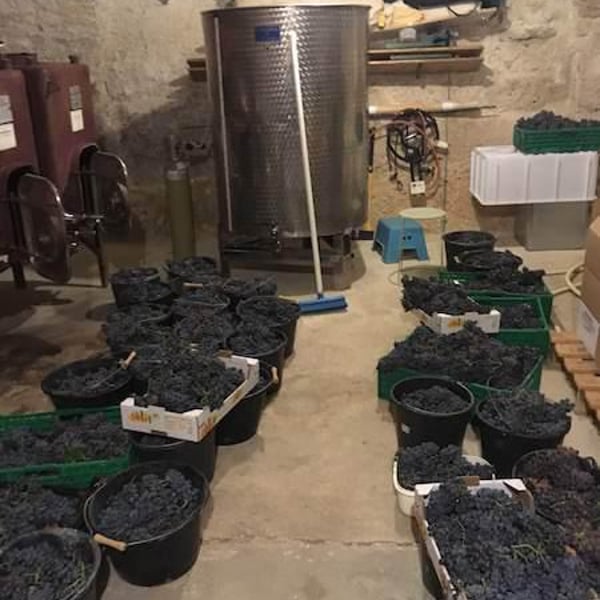 Fergus Clague - Fergus Clague