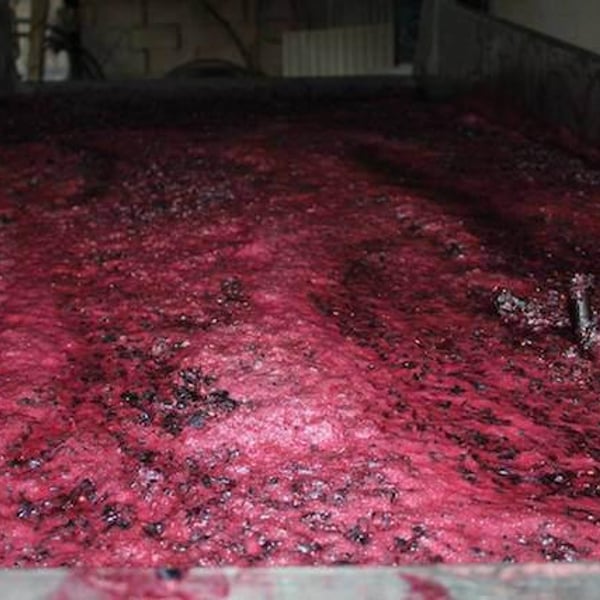 Quinta da Palmirinha - João Goucho