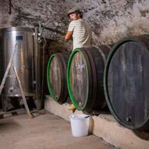 Weingut Jus Naturae - Florian Wecker