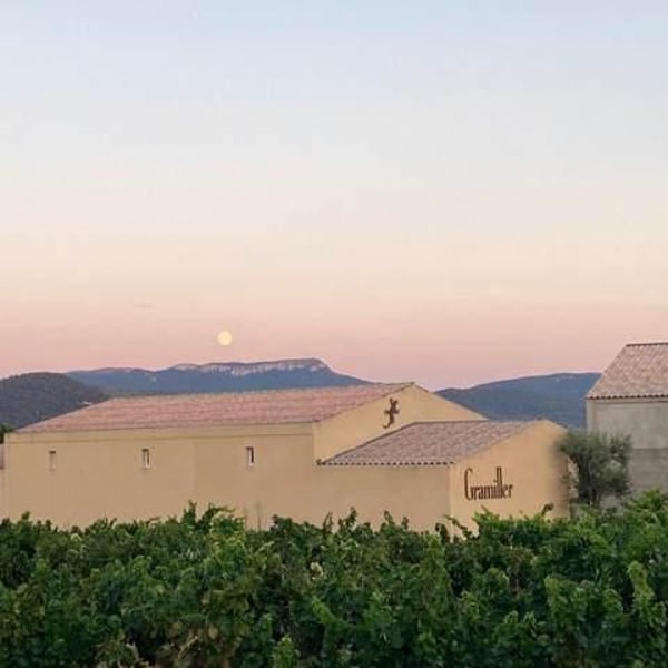 Domaine Gramiller - Frédéric Julien