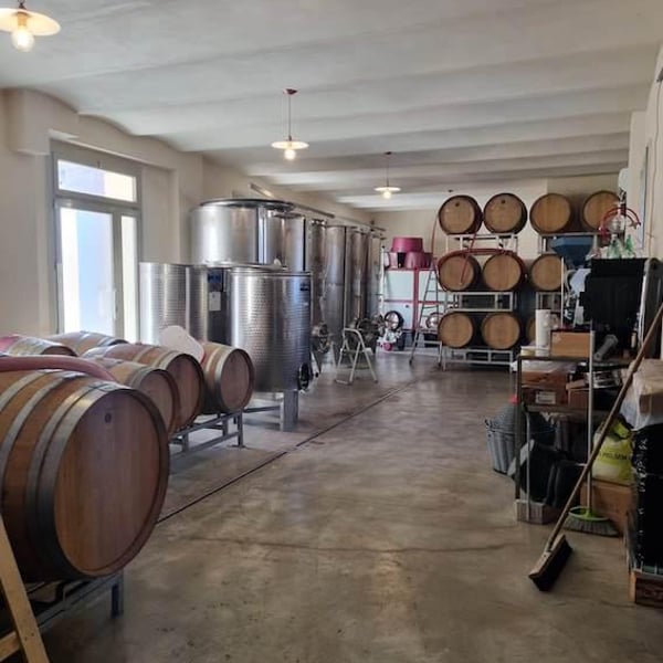 Cantina Morra Gabriele, già Pautasso dal 1880 - Gabriele Testa, Stefano Campaniello