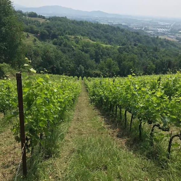 Gabriella Aleandri, Luciano Chenet