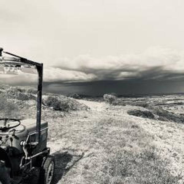 Grain D’L - Gaëlle Steunou