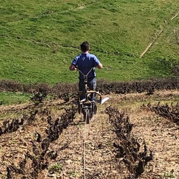 Domaine des Chopins - Germain Santailler
