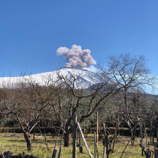 Ginger Ringer & Romain Cole