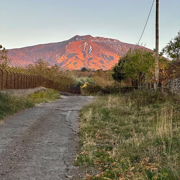 Ginger Ringer & Romain Cole