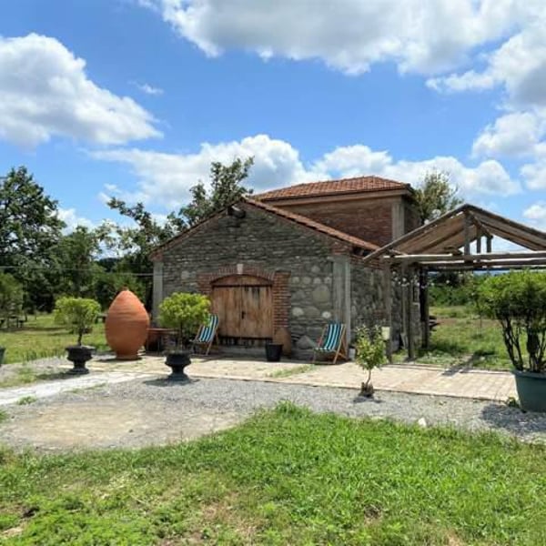 Giorgi, David & Soso Mshvenieradze