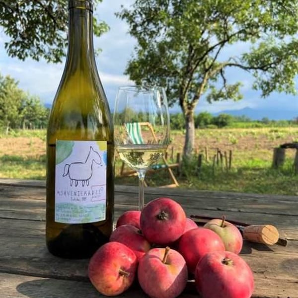 Mshvenieradze Winery - Giorgi, David & Soso Mshvenieradze