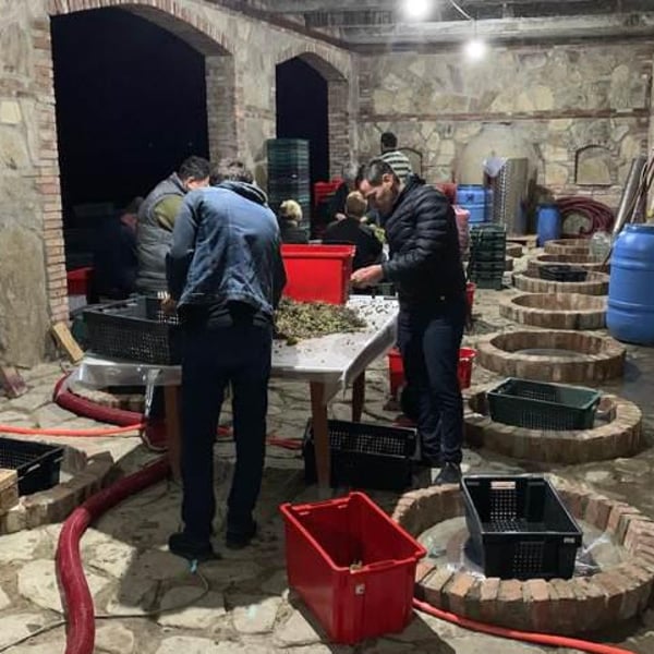 DoReMi Wine - Giorgi Tsirghvava & Mamuka Tsiklauri