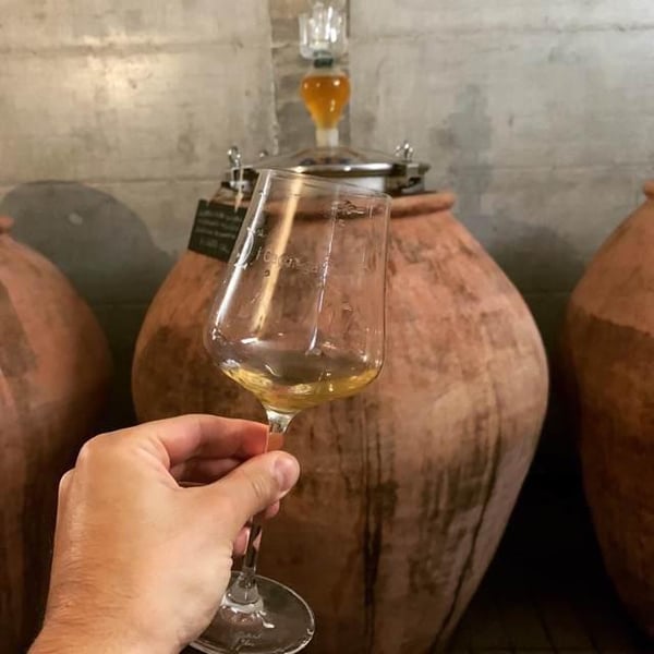 Azienda Agricola Aurete - Giovanni Vittiglio, Paolo Ingino & Eugenio Varone