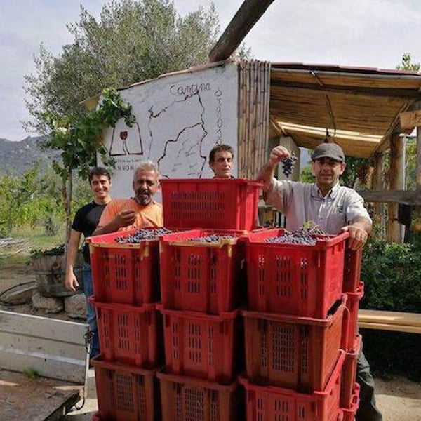 Cantina Orgosa - Giuseppe Musina