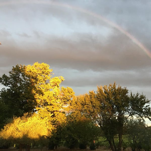 Mas de Casalas - Jérôme Hue & Isabelle Supparo