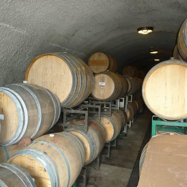 Celler Alter De Benimaquia - Jose Maria Bolufer