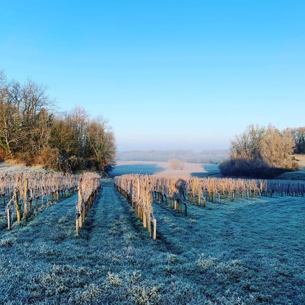 Julie Yagound & Antoine Debiastre