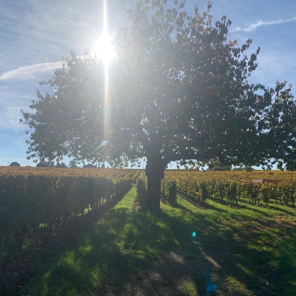 Domaine des 4 Vents - Julie Yagound & Antoine Debiastre