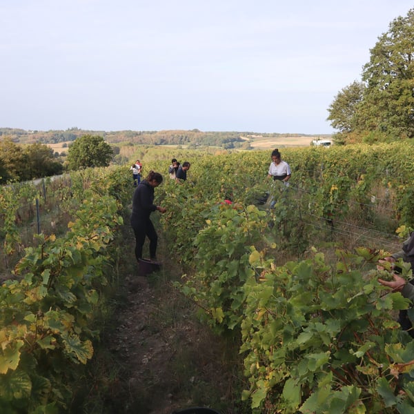 Les Maisons Rouges - Julien Peltier, Elisabeth et Benoît Jardin