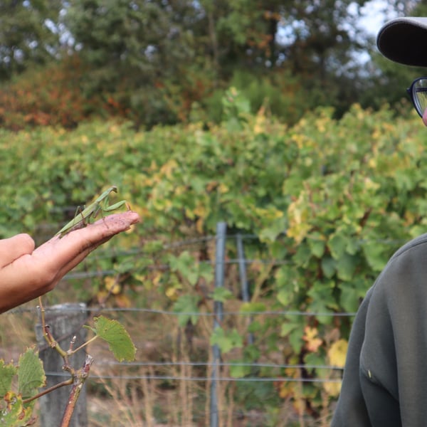 Les Maisons Rouges - Julien Peltier, Elisabeth et Benoît Jardin