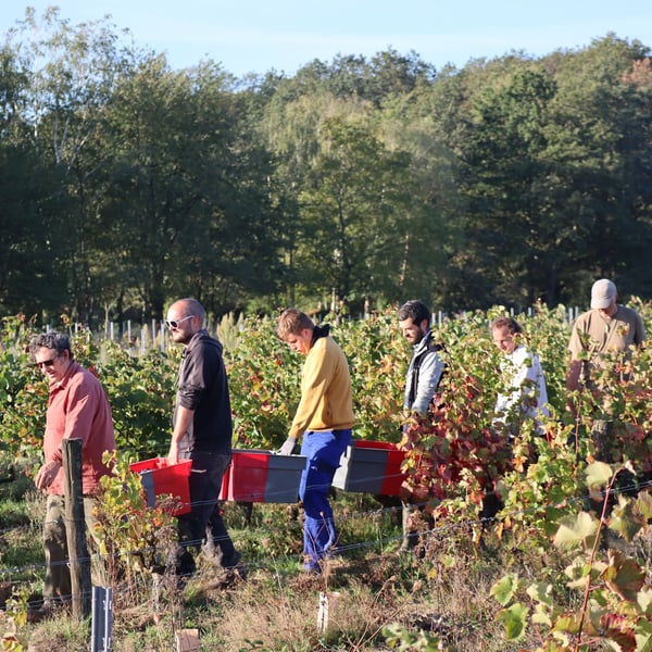 Les Maisons Rouges - Julien Peltier, Elisabeth et Benoît Jardin