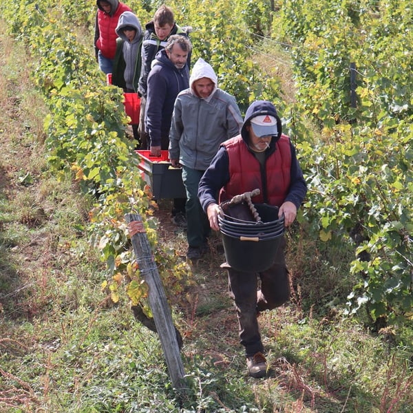 Les Maisons Rouges - Julien Peltier, Elisabeth et Benoît Jardin