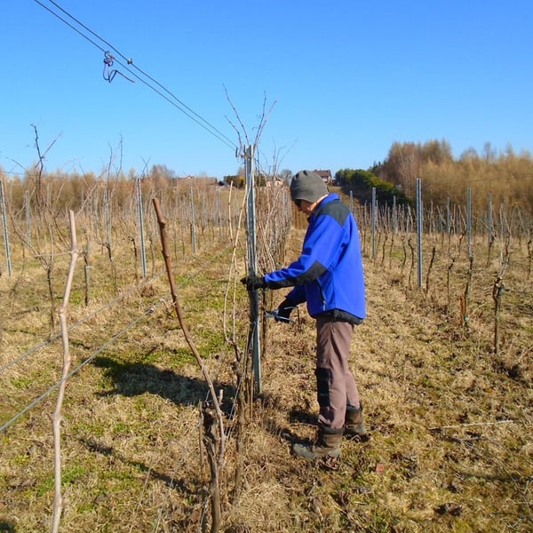 Kasia i Jacek Fluder