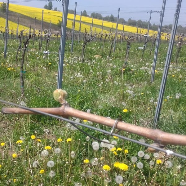 Kasia i Jacek Fluder