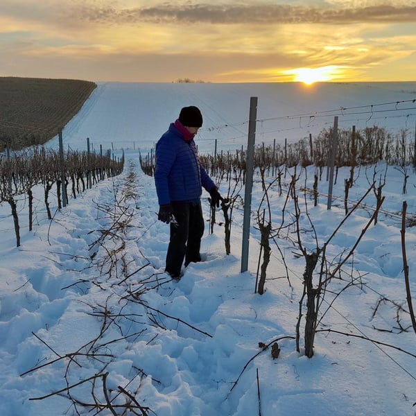 Winnica Słońce i Wiatr - Kasia i Jacek Fluder