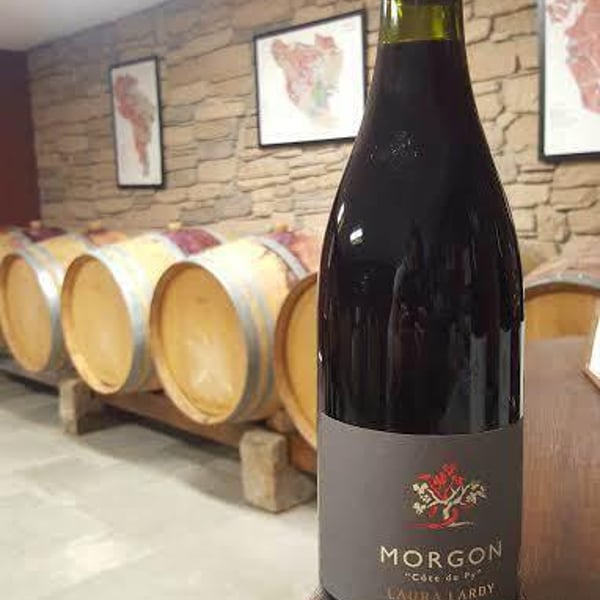 Domaine Laura Lardy - Laura Lardy