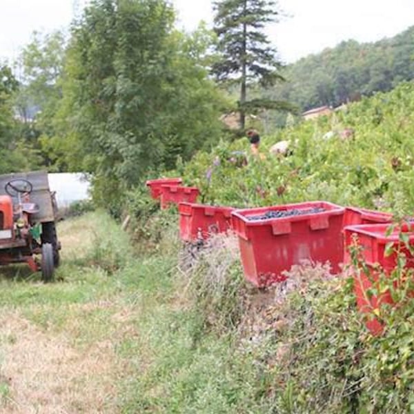 L&B Yvernay - Laure & Benjamin Yvernay