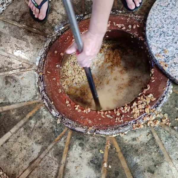 Cantina Terracanta di Società Agricola Ceglia - Lucia Vasciminno, Carlo Giudicepietro