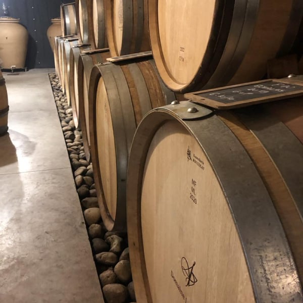 Domaine Les 4 Vents - Lucie et Nancy Fourel