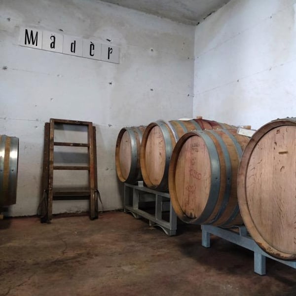 Mädèr Vino - Giuseppe Locatelli