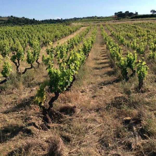 Manuel & Veronica Giocanti