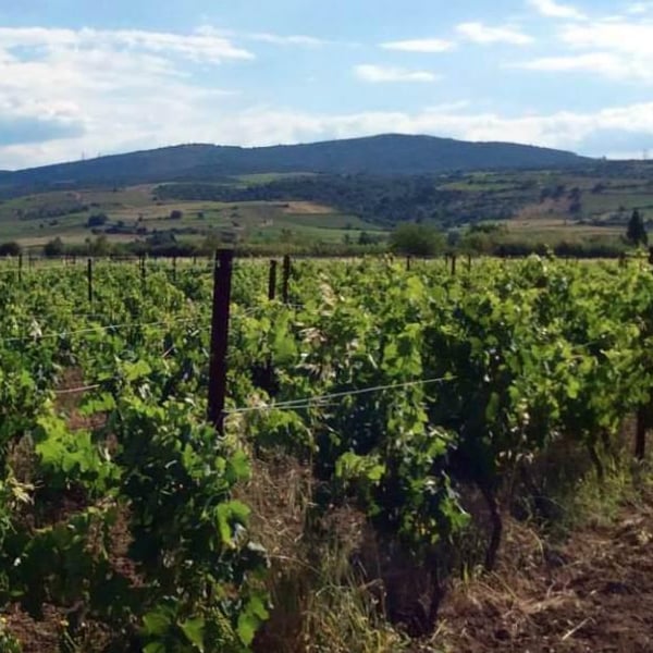 Manuel & Veronica Giocanti