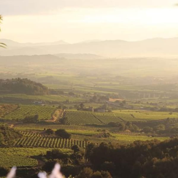 Mar Capdevila & Lluis Raventos