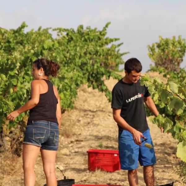 Mar Capdevila & Lluis Raventos