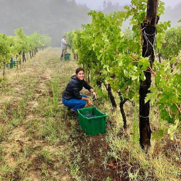 Agricola Ficomontanino - Maria Sole Giannelli