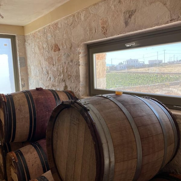 Myrsini Winery - Marie-Astrid & Nicolas Bourget