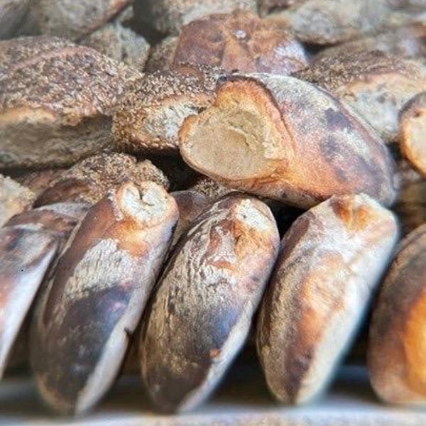 Terres Vivantes - Marie & Ludovic GROS