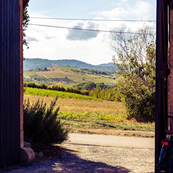 Marie & Ludovic GROS