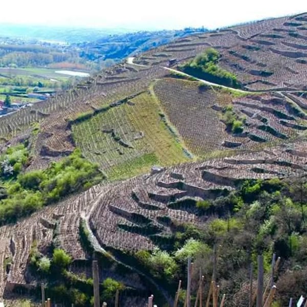 Marie & Pierre Benetière