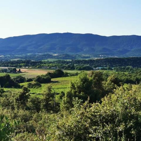 Domaine des Passages - Marie Séité