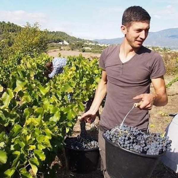 La Combe au Mas - Marie-Sophie Jullien & Thomas Ayoun