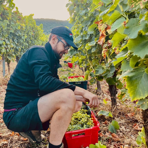 Domaine Ribeyre Pourpre - Mathieu Chevrier & Louise Mazoyer