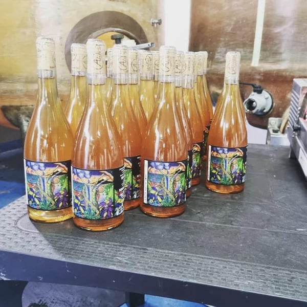 Alchimia Cantina Urbana - Matteo Cacciagrano