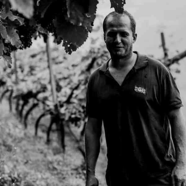 Rielinger - Matthias Messner