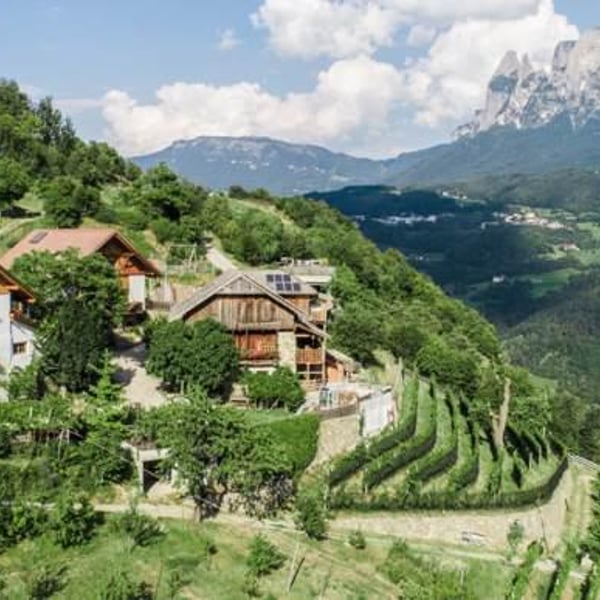 Rielinger - Matthias Messner