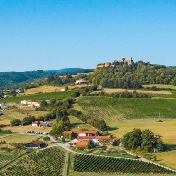 Maxime Gillier, Jacky ,Julie & Odile Logel