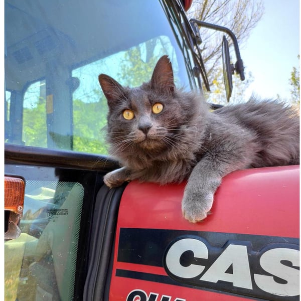 Domaine de Pradines - Maxime Lapousterle