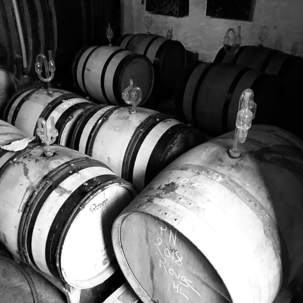 Domaine Schaeffer-Woerly - Maxime, Lucie & Vincent Woerly