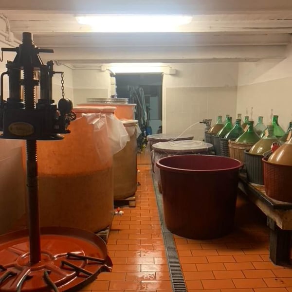 Remedio Vini - Michael Cararro, Alessandro Stefani